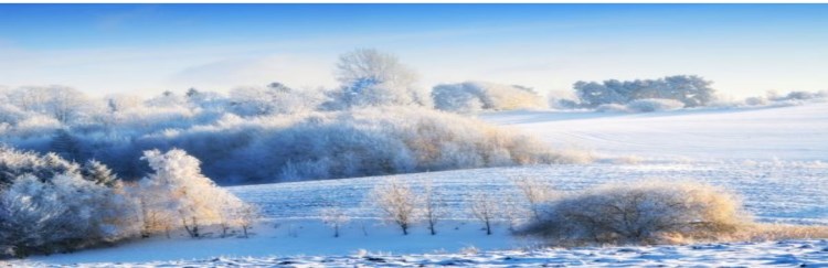 Temperatura në minus gradë dhe reshje bore